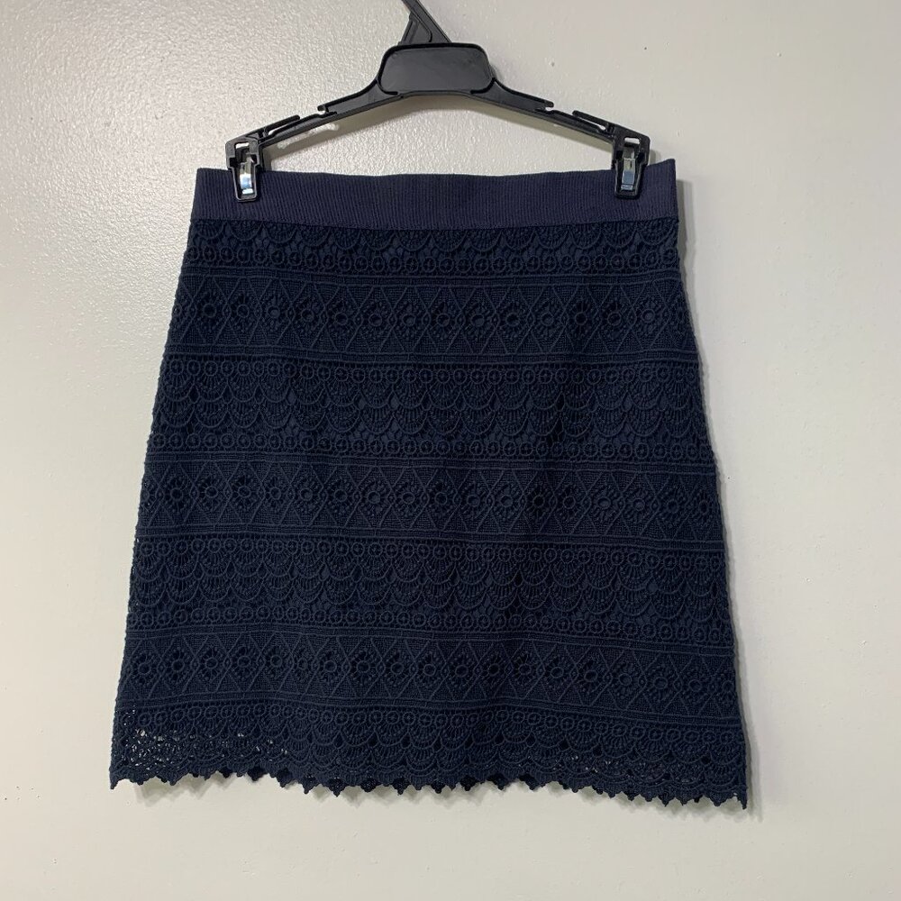 Loft Mini Skirt Size 2 Petite Lace Blue LIned NWT